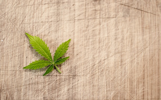 Jak sprawdzić czy butla ma legalizacje? Jak sprawdzić czy butla ma legalizacje?