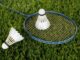 Jak jest po angielsku badminton?
