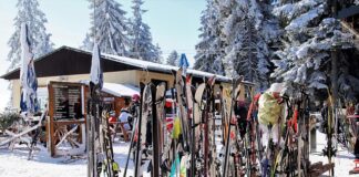Jak zacząć przygodę z nartami biegowymi?